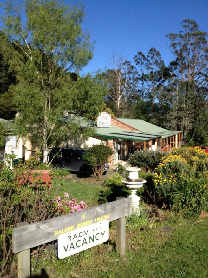 Tarra Bulga Guesthouse Balook Buitenkant foto