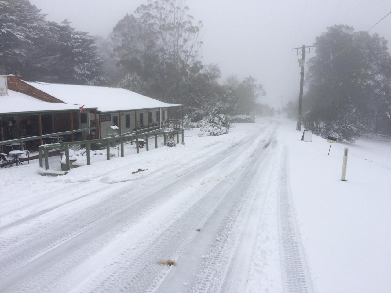 Tarra Bulga Guesthouse Balook Buitenkant foto